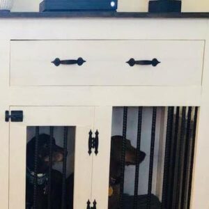 343694390_266388156074187_8804030101575393376_n